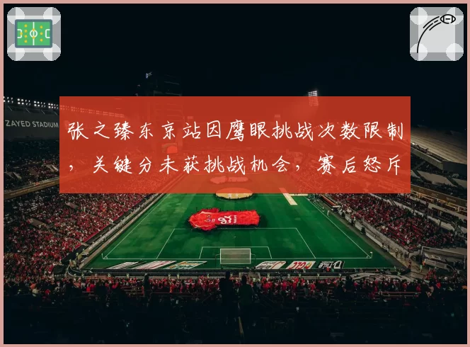 张之臻东京站因鹰眼挑战次数限制,关键分未获挑战机会,赛后怒斥ATP规则