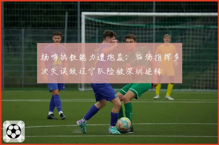 杨鸣执教能力遭炮轰：临场指挥多次失误致辽宁队险被深圳逆转
