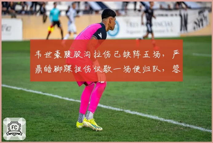 韦世豪腹股沟拉伤已缺阵五场，严鼎皓脚踝扭伤仅歇一场便归队，蓉城中场核心低效与高效康复对比